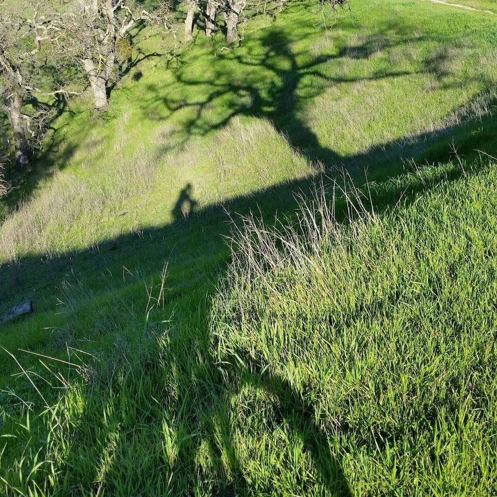 Franco Ranch Loop Trail | Walnut Creek, CA 94596, USA