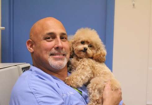 River Bridge Animal Hospital | 6862 Forest Hill Blvd, Greenacres, FL 33413 | Phone: (561) 966-1171