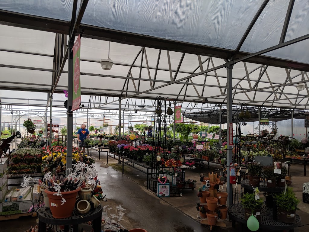 Calloways Nursery | 1801 FM 423, Little Elm, TX 75068 | Phone: (214) 436-8973