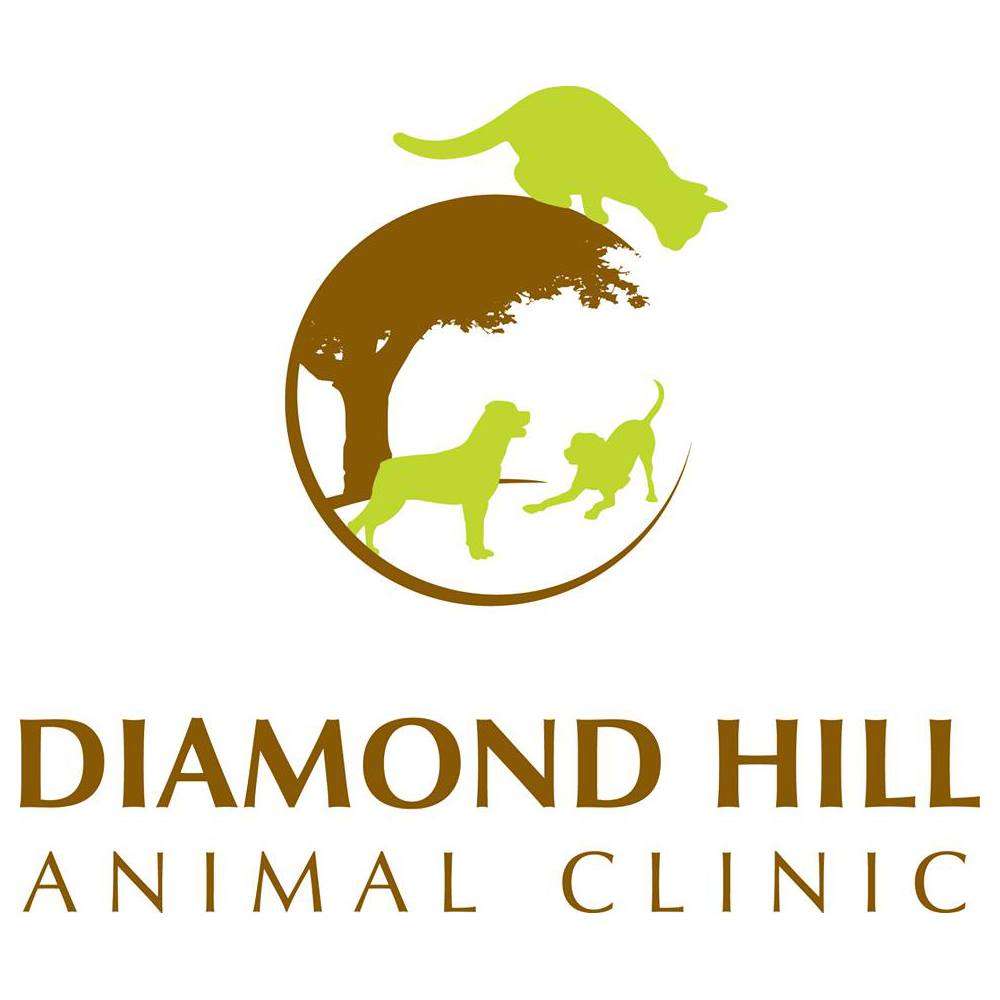 Diamond Hill Animal Clinic | 35 Pine Swamp Rd, Cumberland, RI 02864, USA | Phone: (401) 658-0751