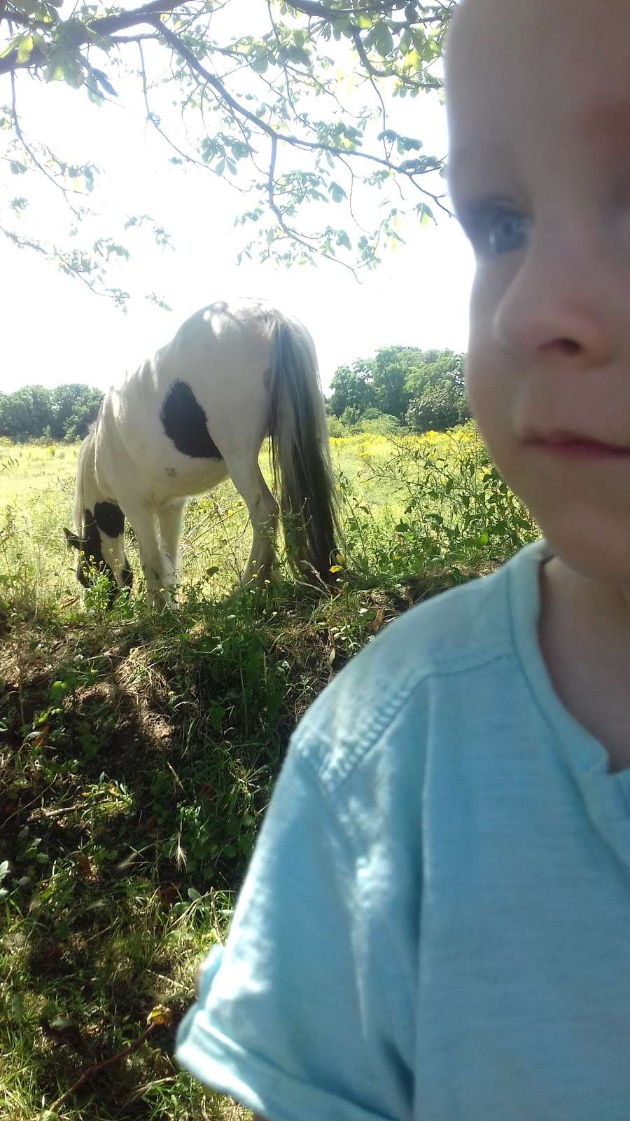 Worcester Park | 11 Dawes Cl, Dartford, Greenhithe DA9 9RA, UK