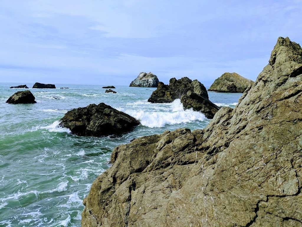 Sonoma Coast State Park | CA-1, Bodega Bay, CA 94923, USA | Phone: (707) 875-3483