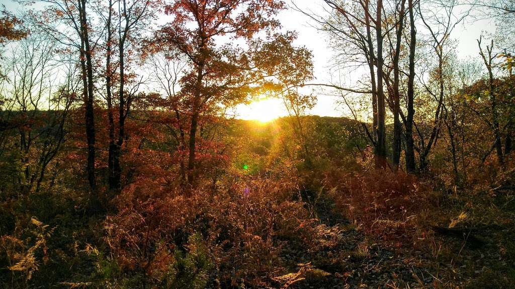 Fireline Trail Scenic Overlook | White Haven, PA 18661, USA