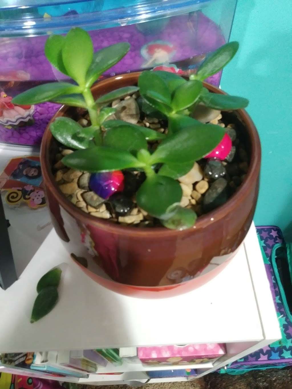 Moon Cookie Gallery | 285 S Schuyler Ave, Kankakee, IL 60901, USA | Phone: (815) 295-2997