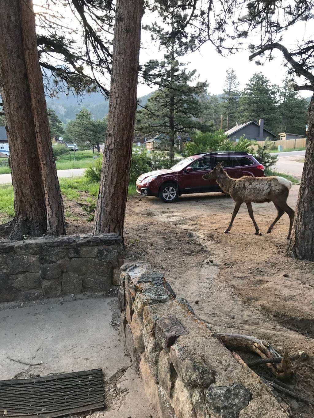 Monte Verde Cabin | 1001-1083 Middle Broadview Rd, Estes Park, CO 80517, USA | Phone: (970) 586-3708