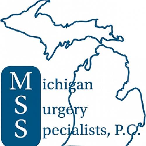 Michigan Surgery Specialists PC- Greater Michigan Orthopedics &  | 11012 13 Mile Rd #201, Warren, MI 48093, USA | Phone: (586) 582-0760