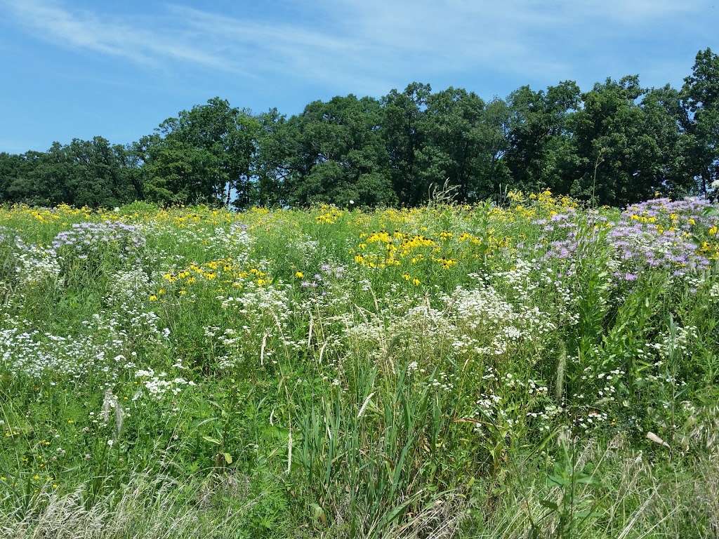 Dundee Township Park District - Randall Oaks Recreation Center | 500 Randall Rd, West Dundee, IL 60118, USA | Phone: (847) 428-7131