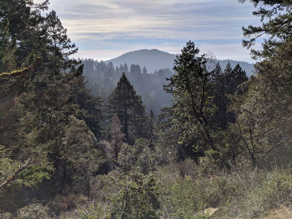 Purisima Creek Open Space North Parking Lot | 13184 Skyline Blvd, Redwood City, CA 94062, USA