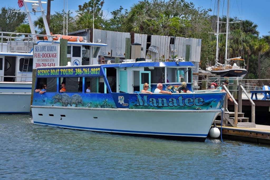 Dolphin & Manatee Scenic Boat Tours & Bird Watching - Daytona Be | 4884 Front St, Ponce Inlet, FL 32127, USA | Phone: (386) 761-2027