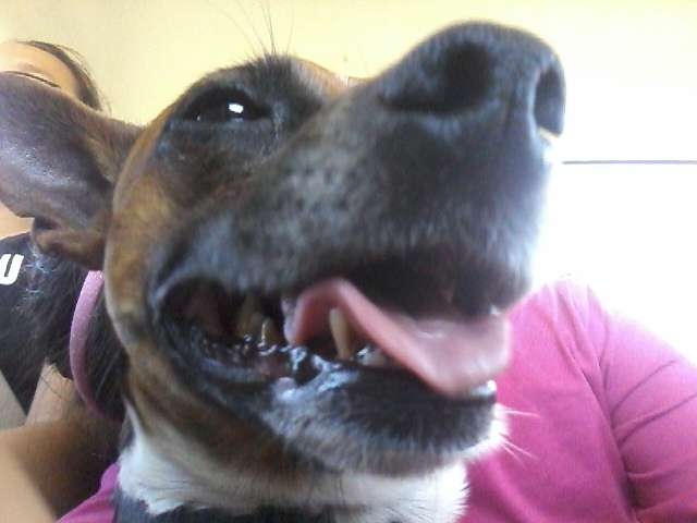 P3 Designs | 768 Santa Barbara Dr, San Marcos, CA 92078, USA | Phone: (760) 510-1832