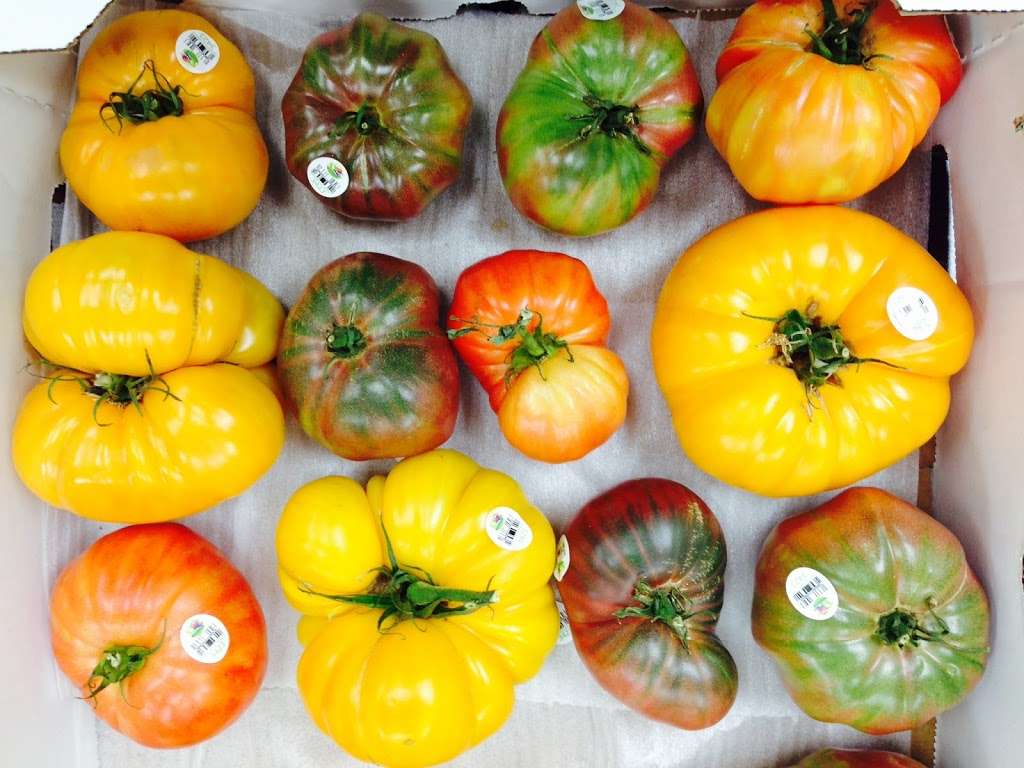 Seashore Fruit & Produce Co. | 1344 NW Blvd, Vineland, NJ 08360, USA | Phone: (609) 345-3229