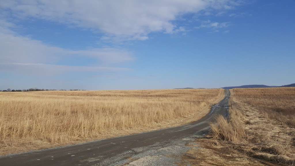 Alpha Grasslands Preserve | Oberly Rd, Phillipsburg, NJ 08865, USA