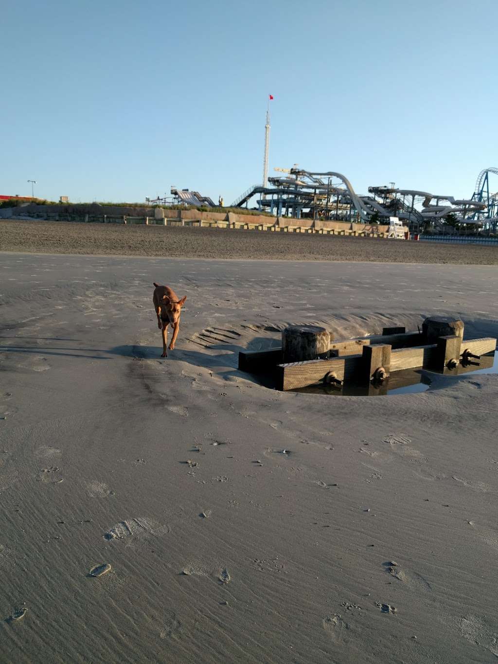 North Wildwood Dog Beach | 2401-2499 Boardwalk, North Wildwood, NJ 08260