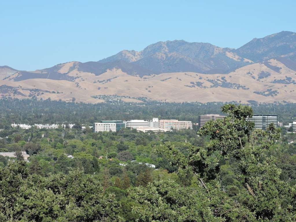 Dinosaur Hill Park | 901 Taylor Blvd, Pleasant Hill, CA 94523, USA | Phone: (925) 682-0896