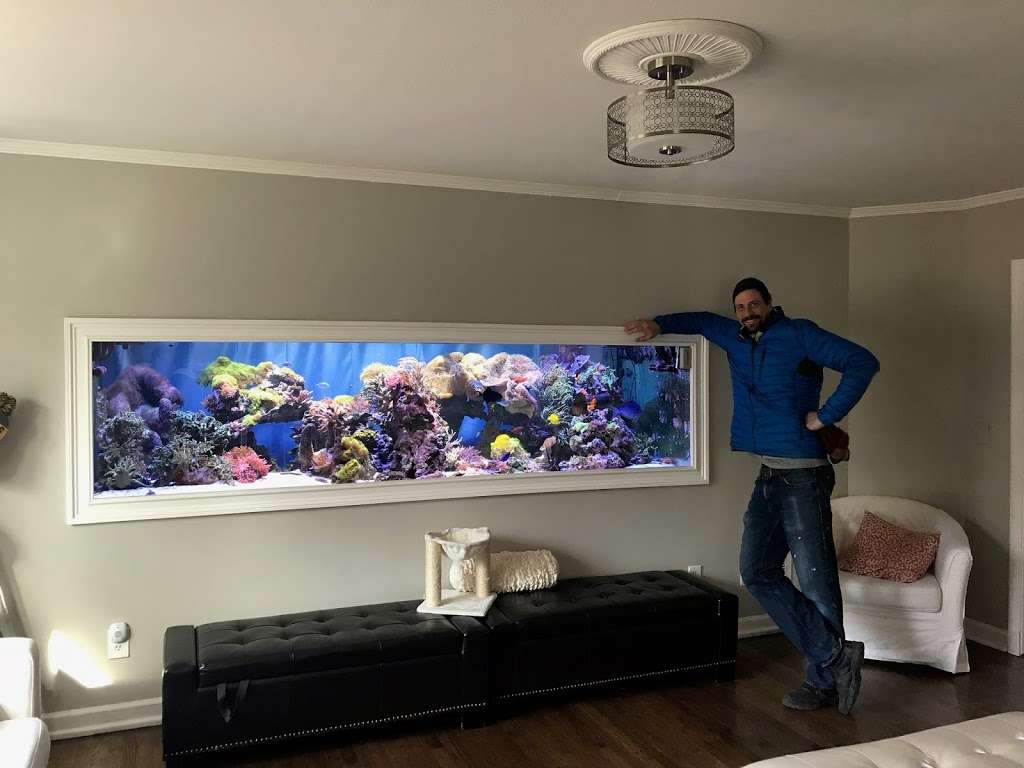 Clean My Aquarium | 60 Bellevale St, Monroe, CT 06468, USA | Phone: (203) 726-4936