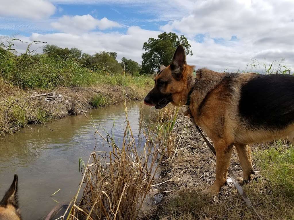 Mission Trail at Camino Coahuilteca | 04002-001-0216, San Antonio, TX 78214