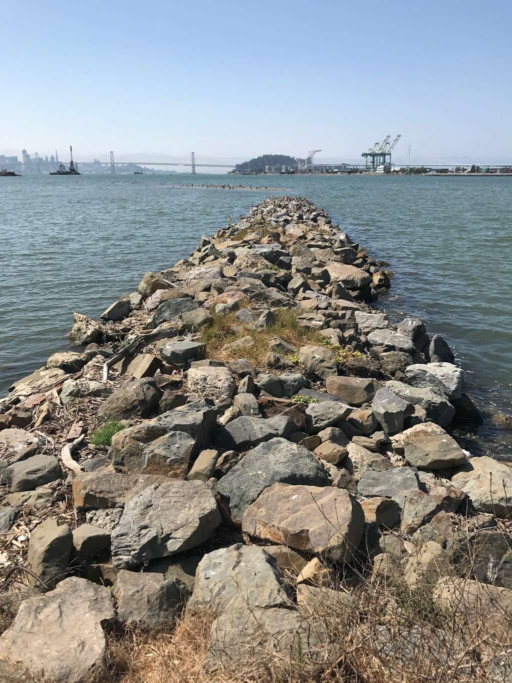 Middle Harbor Shoreline Park | 2777 Middle Harbor Rd, Oakland, CA 94607, USA | Phone: (510) 627-1634