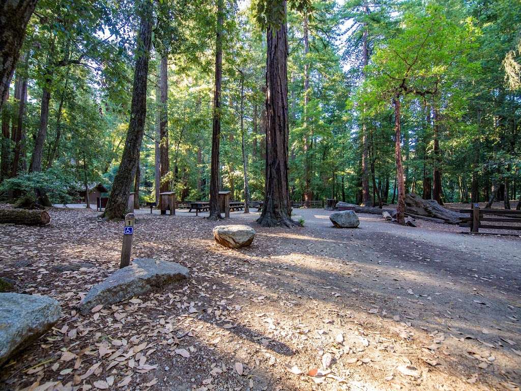 Sequoia Group Camp | Big Basin Hwy, Boulder Creek, CA 95006