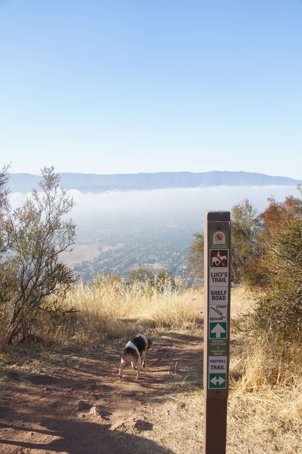 Valley View Preserve Lucis Trailhead | Shelf Rd, Ojai, CA 93023, USA | Phone: (805) 649-6852