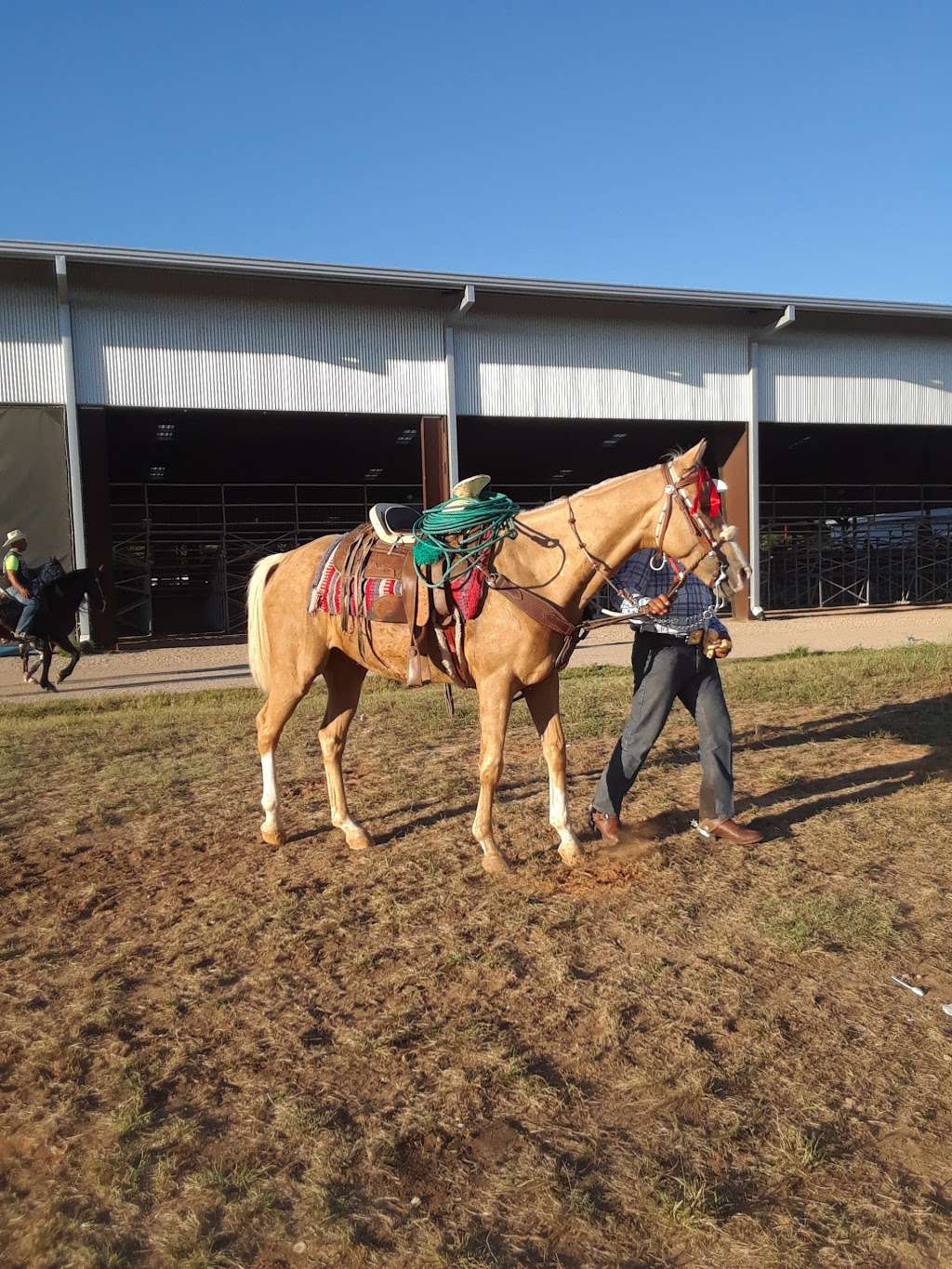 Equest Therapeutic Horsemanship | 811 Pemberton Hill Rd Building 4, Dallas, TX 75217, USA | Phone: (972) 412-1099