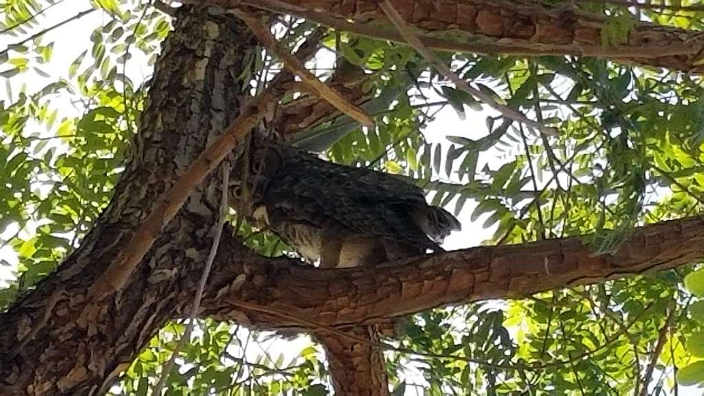 Deer Valley Park | 3665 E Deer Valley Dr, Phoenix, AZ 85050, USA Deer Valley Park | 3665 E Deer Valley Dr, Phoenix, AZ 85050, USA