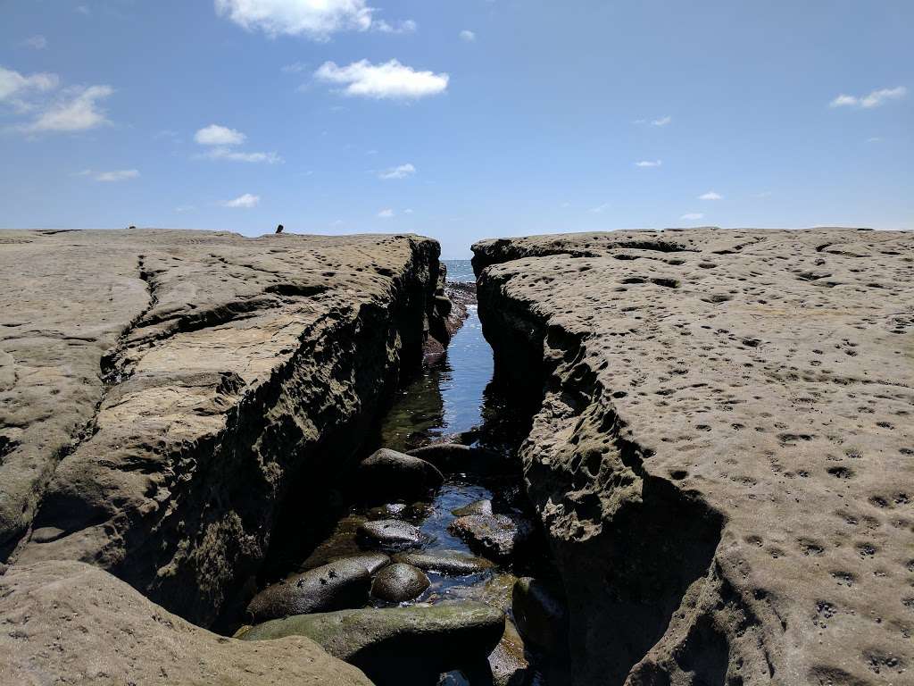 Ocean Beach Tide Pools | 1779 Ocean Front St, San Diego, CA 92107, USA