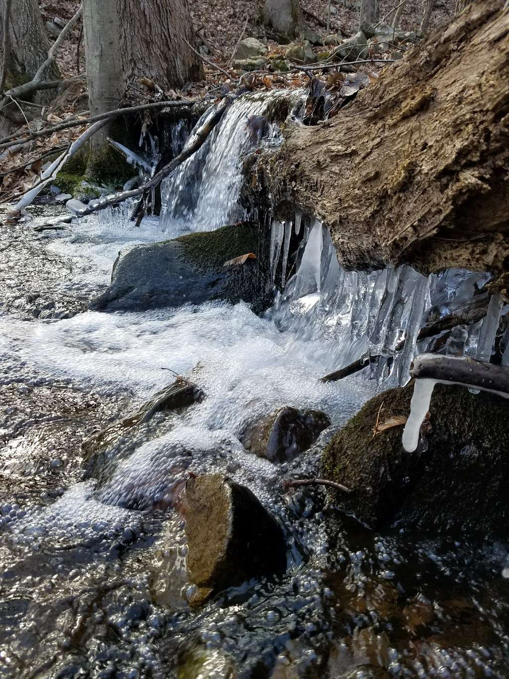 Fieldstone Farm Preserve | Coolbaugh Township, PA 18466, USA