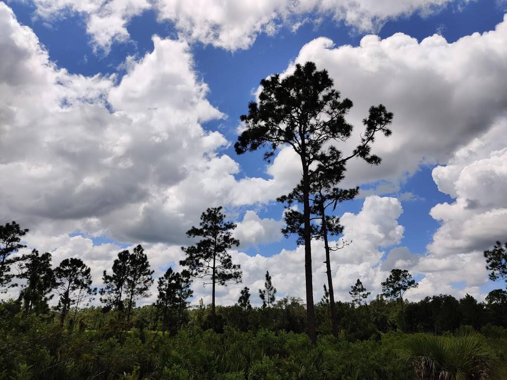 Lower Hillsborough Wilderness Preserve | 15846 Morris Bridge Rd, Thonotosassa, FL 33592, USA | Phone: (813) 987-6209