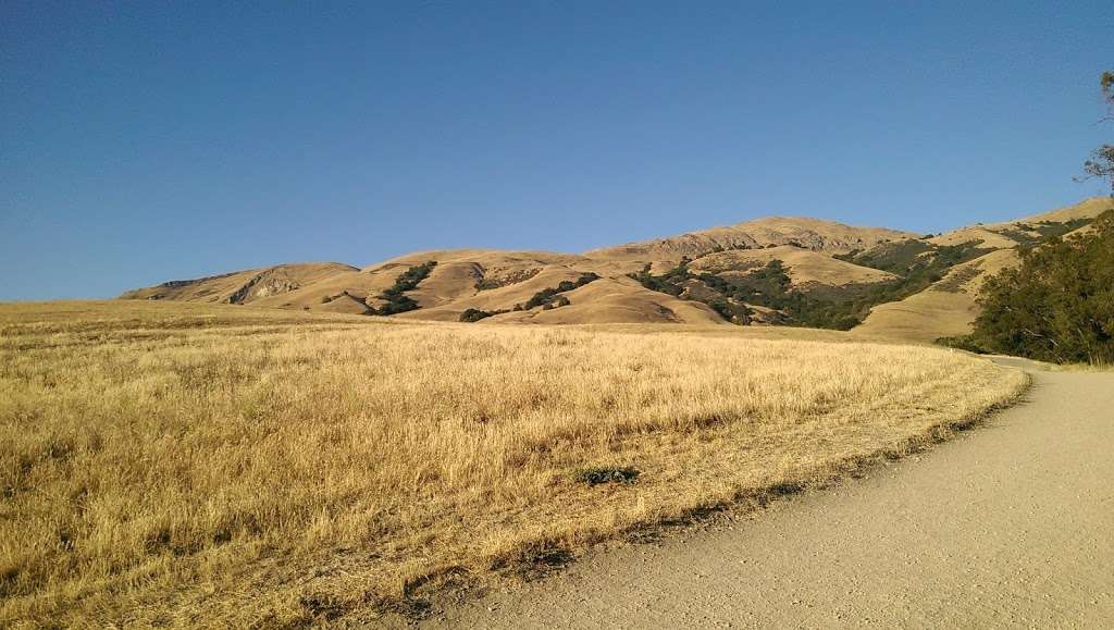 Mission Peak Paragliding and Hang Gliding Landing Zone | Fremont, CA 94539, USA | Phone: (510) 544-2222