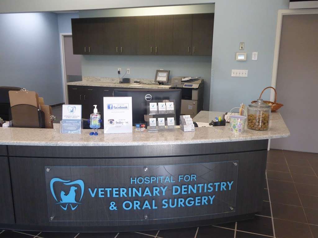 Hospital for Veterinary Dentistry and Oral Surgery - 2440 Plantation