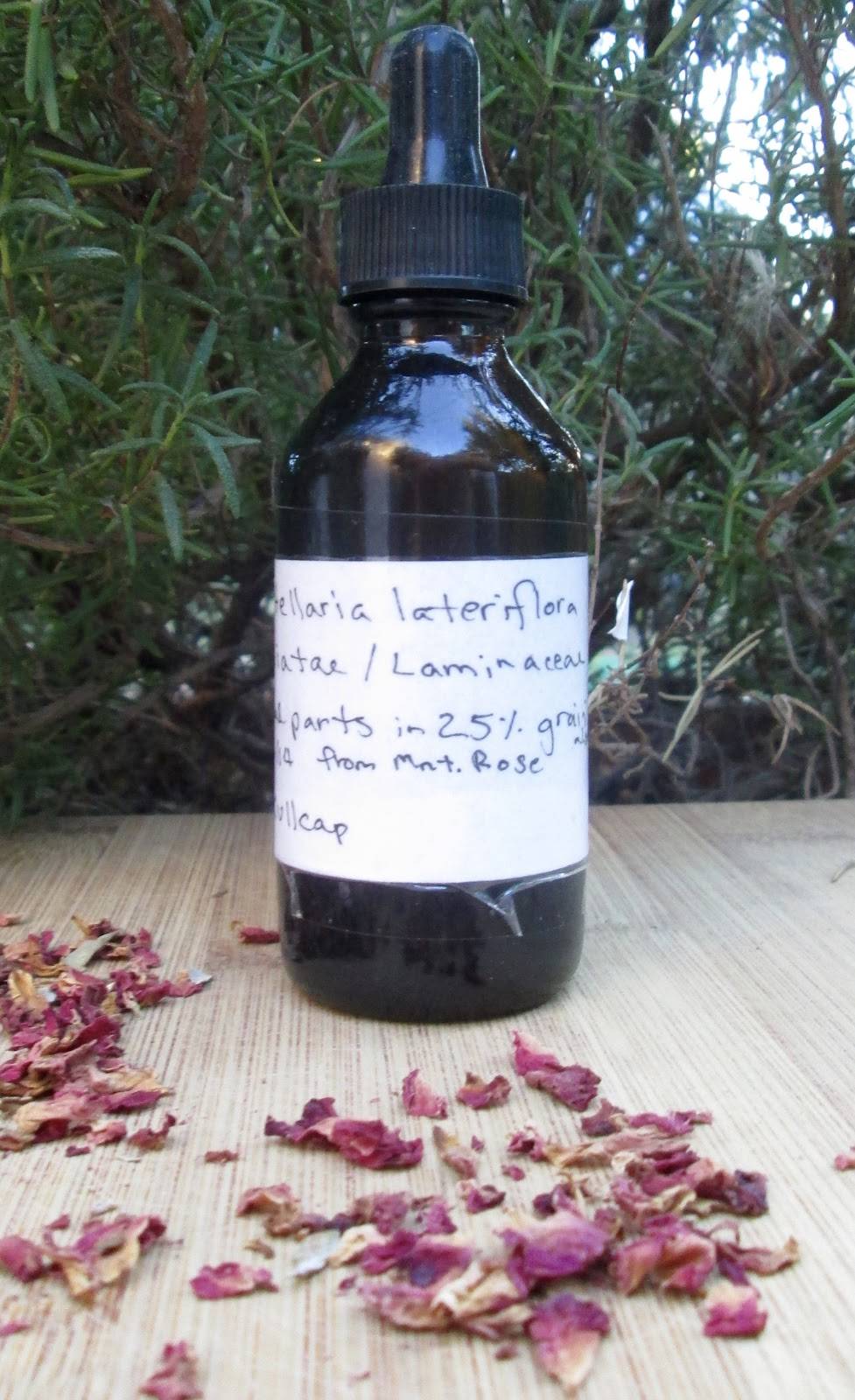 Mountain Herbalism | 6650 W 44th Ave, Denver, CO 80033, USA | Phone: (530) 304-1626