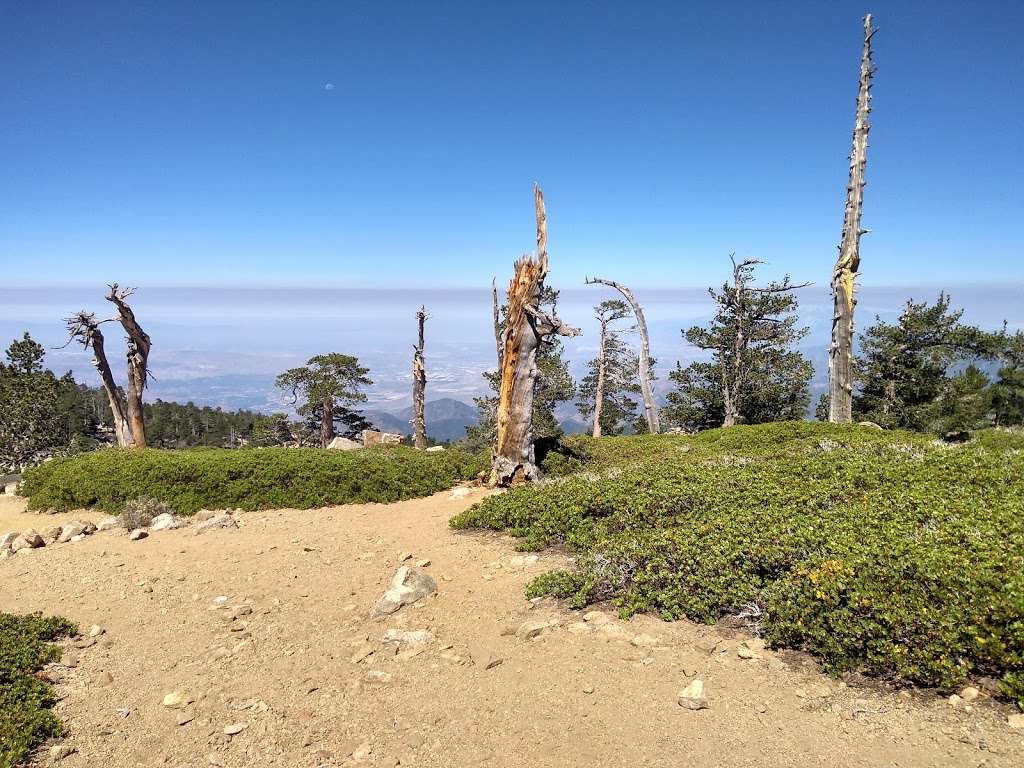 San Bernardino Peak Trail 1W07 | San Bernardino Peak Divide Trail, Angelus Oaks, CA 92305, USA