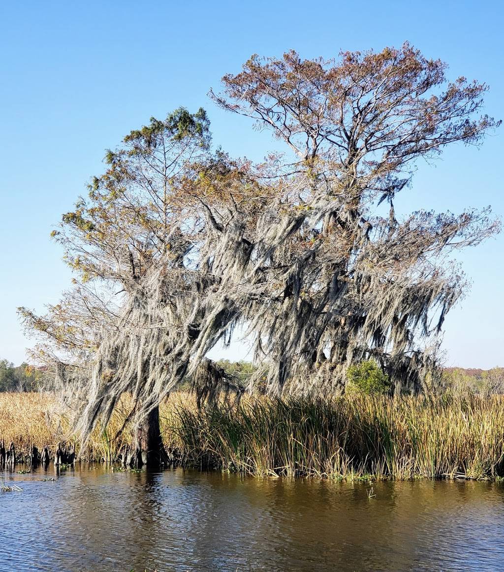 Louisiana Tour Company - SWAMP DOCK | 9706 Barataria Blvd, Marrero, LA 70072, USA | Phone: (504) 689-3599