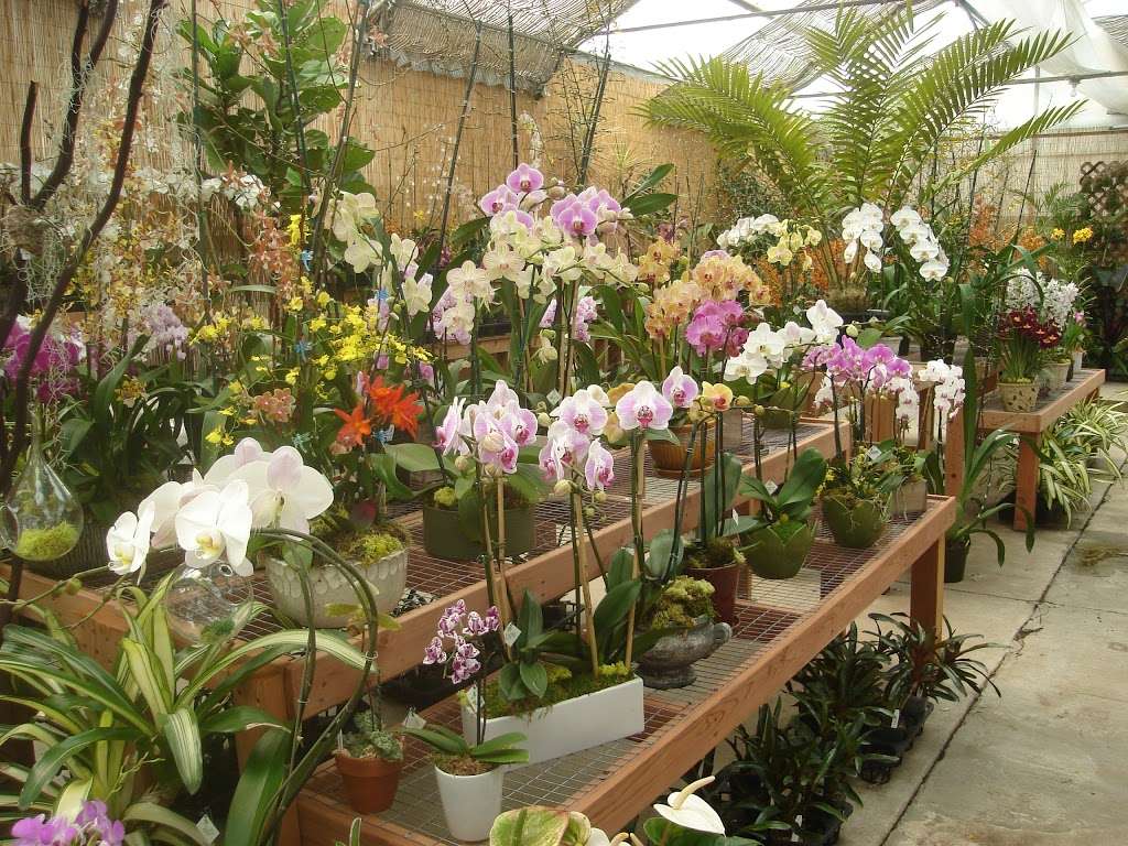 Brookside Orchids | 2718 Alpine Rd, Portola Valley, CA 94028, USA | Phone: (650) 854-4156