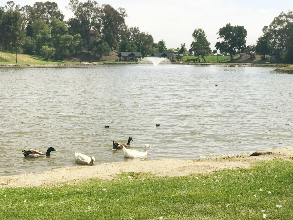 Libby Lake Park | 504 Calle Montecito, Oceanside, CA 92057, USA | Phone: (760) 435-5041