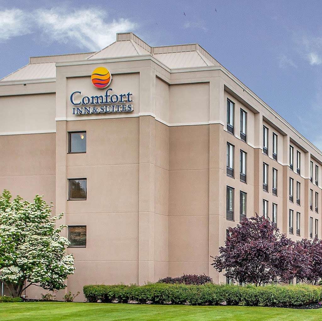 Comfort Inn & Suites | 255 Davidson Ave, Somerset, NJ 08873, USA | Phone: (732) 563-1600