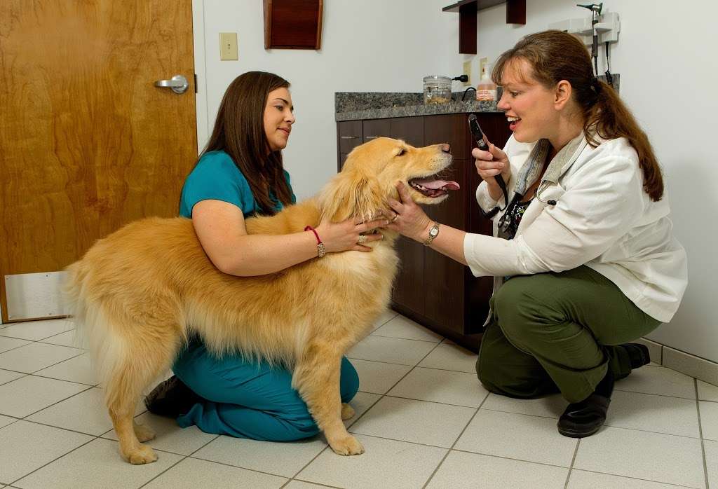 Lake Cross Veterinary Hospital | 106 Parr Dr, Huntersville, NC 28078, USA | Phone: (704) 948-6300