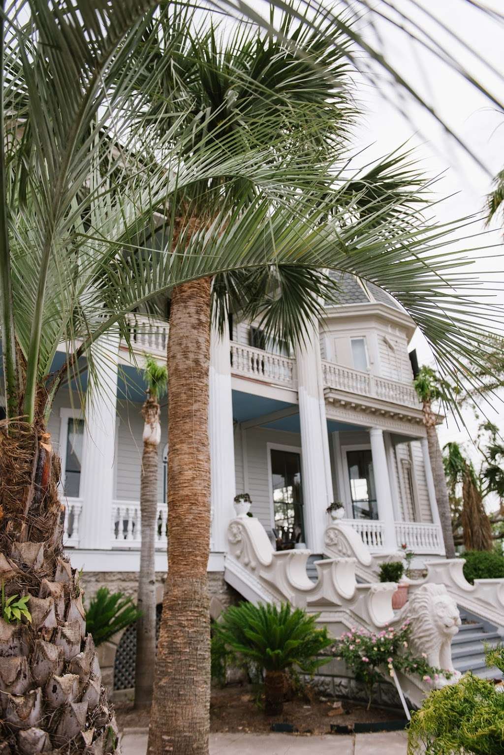 Carr Mansion | 1103 33rd St, Galveston, TX 77550, USA | Phone: (409) 497-4740