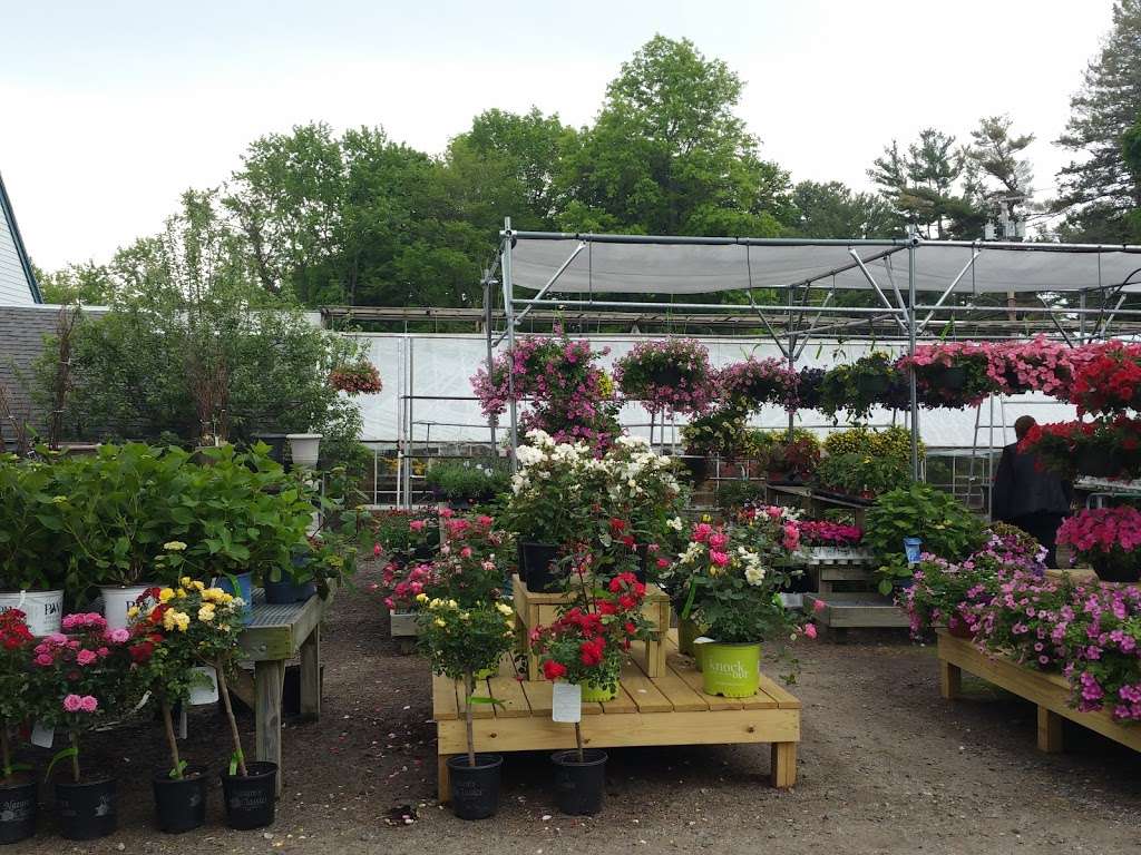 Gordon Florist & Greenhouses | 24 Essex Rd, Ipswich, MA 01938, USA | Phone: (978) 356-2955