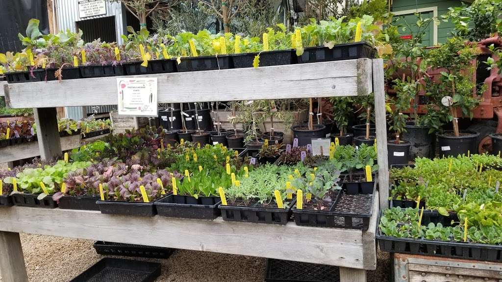 Mountain Feed & Farm Supply | 9550 CA-9, Ben Lomond, CA 95005, USA | Phone: (831) 336-8876