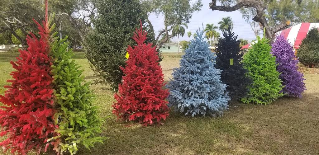 SANTAS TREE FARM CO | 20002 Old Cutler Rd, Cutler Bay, FL 33189, USA | Phone: (305) 598-3486