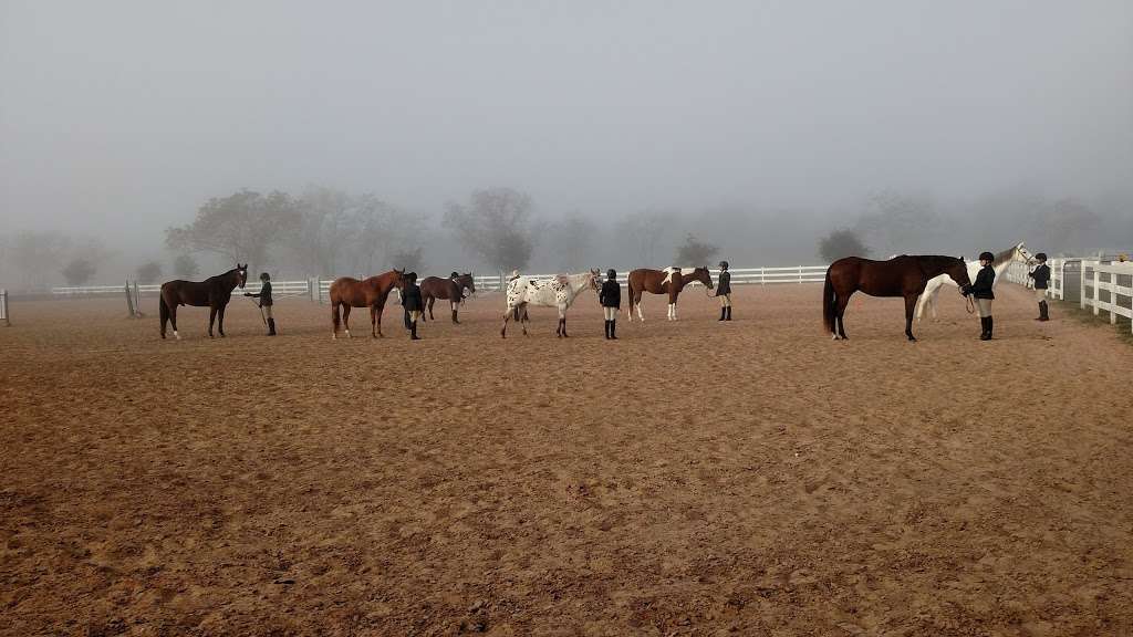 Lone Star Riding School | 20993-21105 FM 362, Waller, TX 77484, USA | Phone: (281) 684-0275