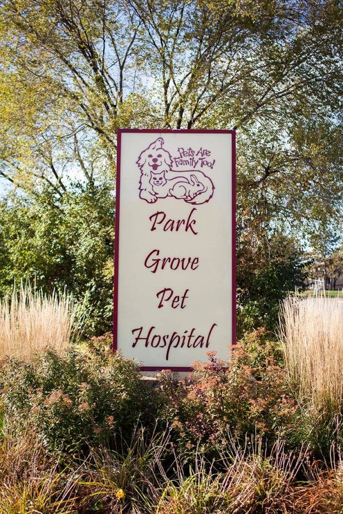 Park Grove Pet Hospital | 7663 79th St S, Cottage Grove, MN 55016, USA | Phone: (651) 459-9663