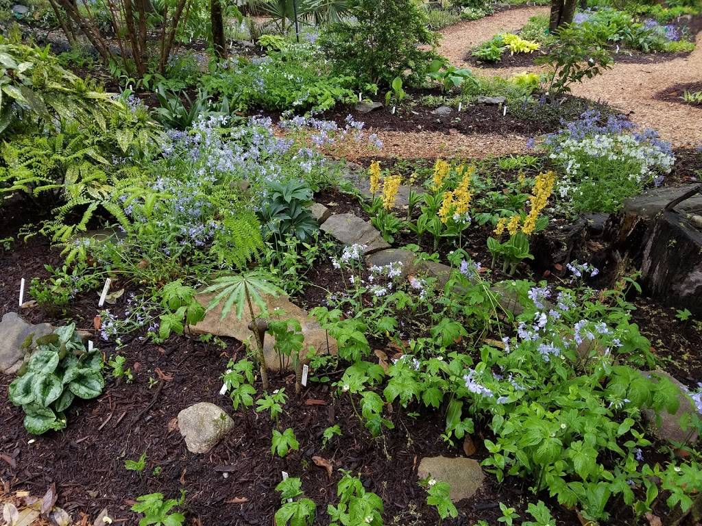 Juniper Level Botanic Garden | 9249 Sauls Rd, Raleigh, NC 27603, USA | Phone: (919) 772-4794