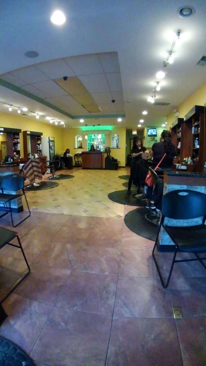 Scissor Hand Salon | 3302 W Armitage Ave, Chicago, IL 60647, USA | Phone: (773) 489-7160