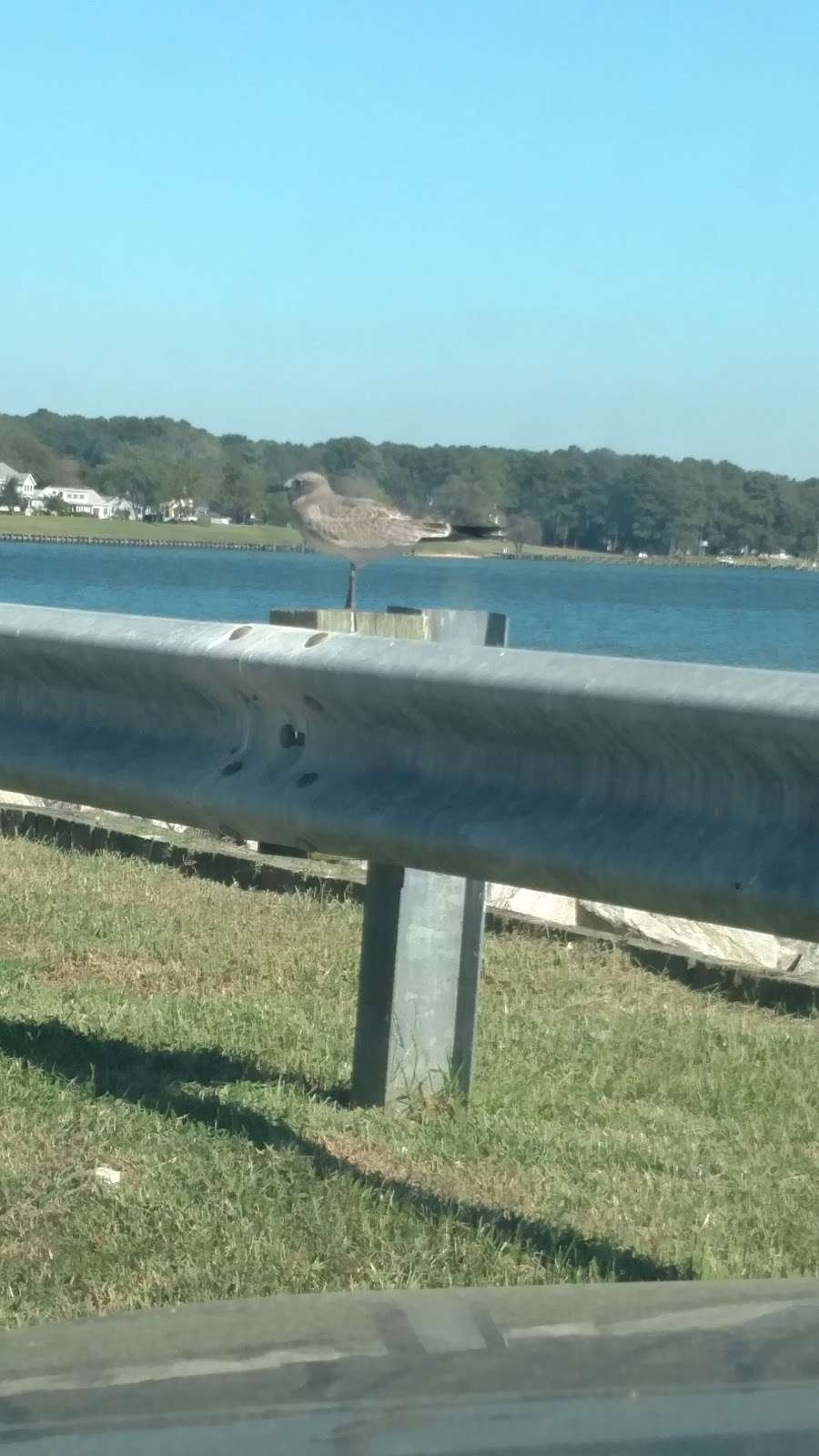 Chesapeake Biological Laboratory Visitors Center | 200 Farren Ave, Solomons, MD 20688, USA | Phone: (410) 326-7443