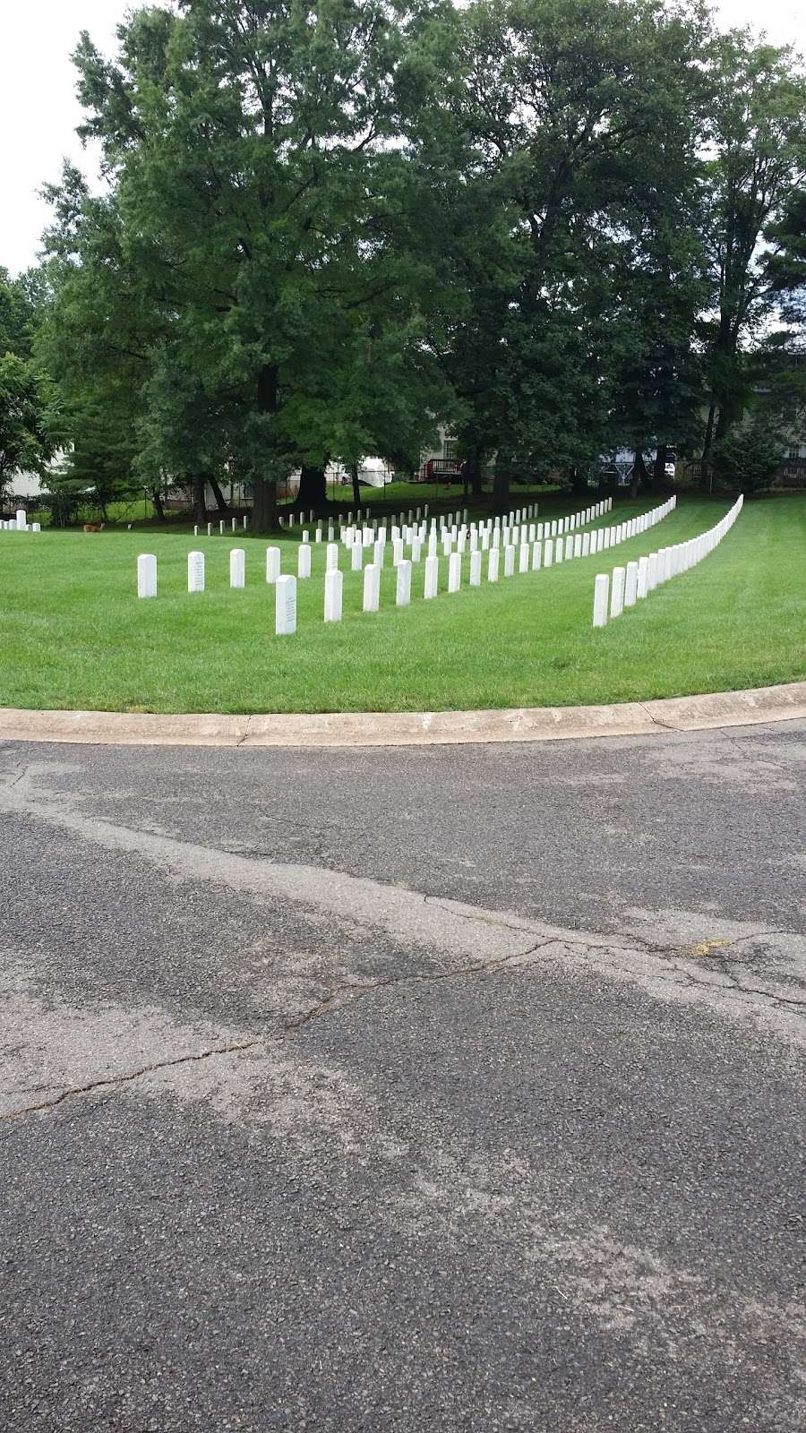 Culpeper National Cemetery | 305 US Ave, Culpeper, VA 22701, USA | Phone: (540) 825-0027