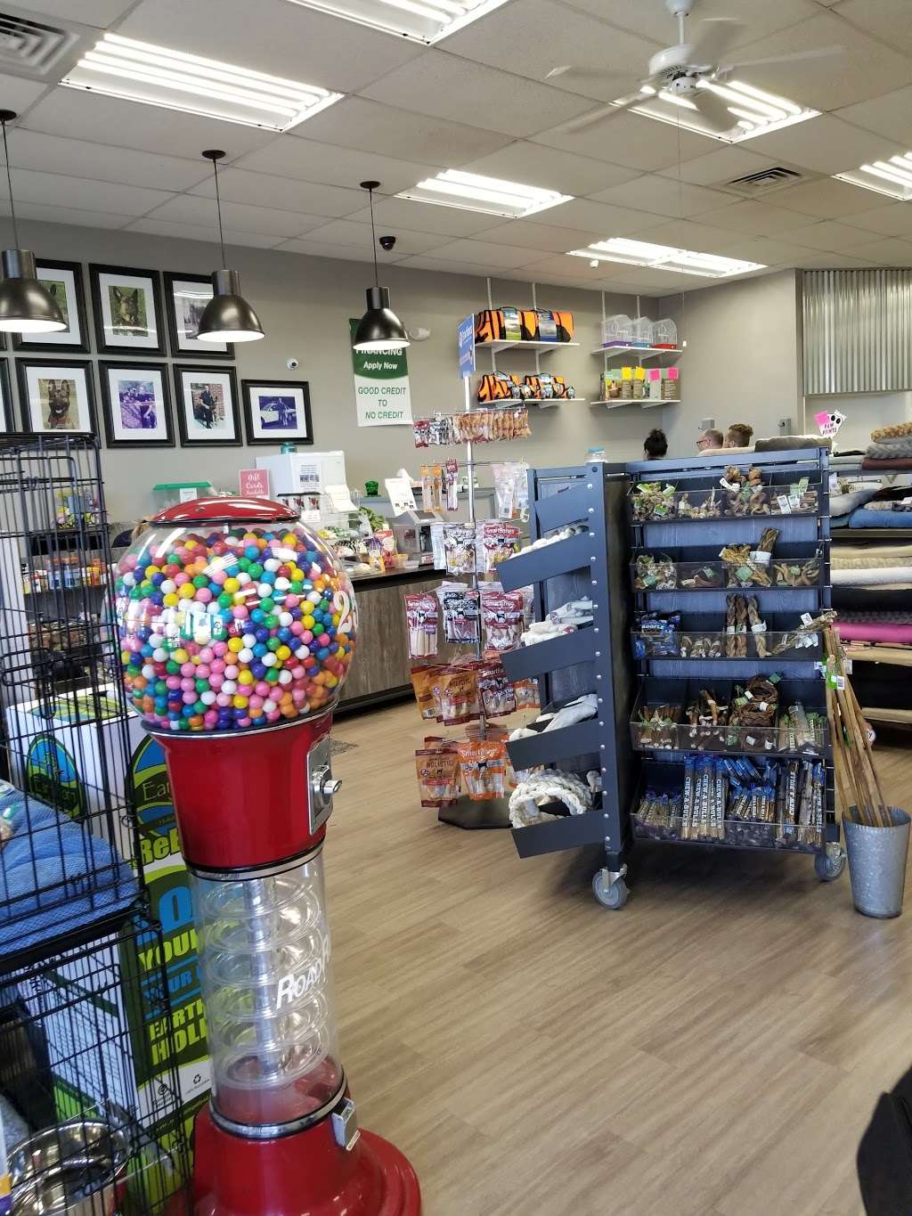 The Pet Store | 1710 Lincoln Way E #18, Chambersburg, PA 17202 | Phone: (717) 263-6161