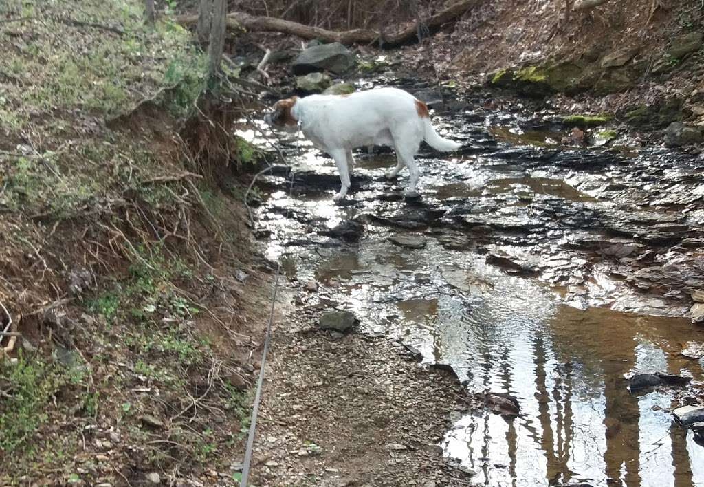 Dufief Hiking Trail | 11737 Flints Grove Ln, North Potomac, MD 20878, USA