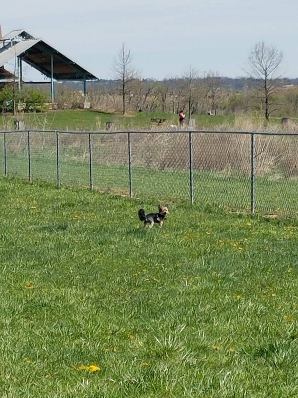 Otto Armleder Dog Park | 5057 Wooster Pike, Cincinnati, OH 45226, USA | Phone: (513) 521-7275